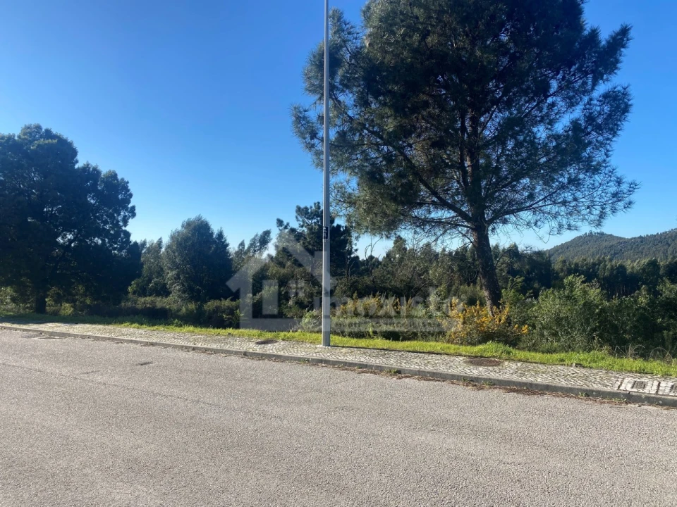 Terreno para Venda em Figueiró dos Vinhos e Bairradas Foto 4
