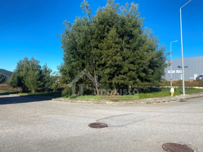 Terreno para Venda em Figueiró dos Vinhos e Bairradas Foto 12