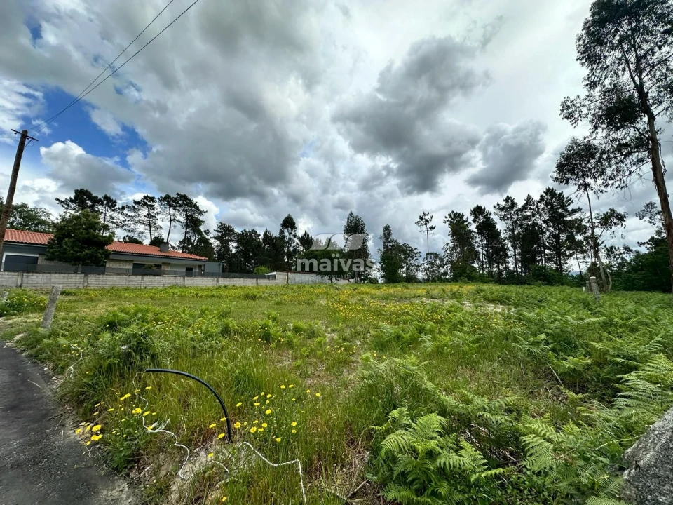 Terreno para Venda em Vila Verde e Barbudo Foto 2