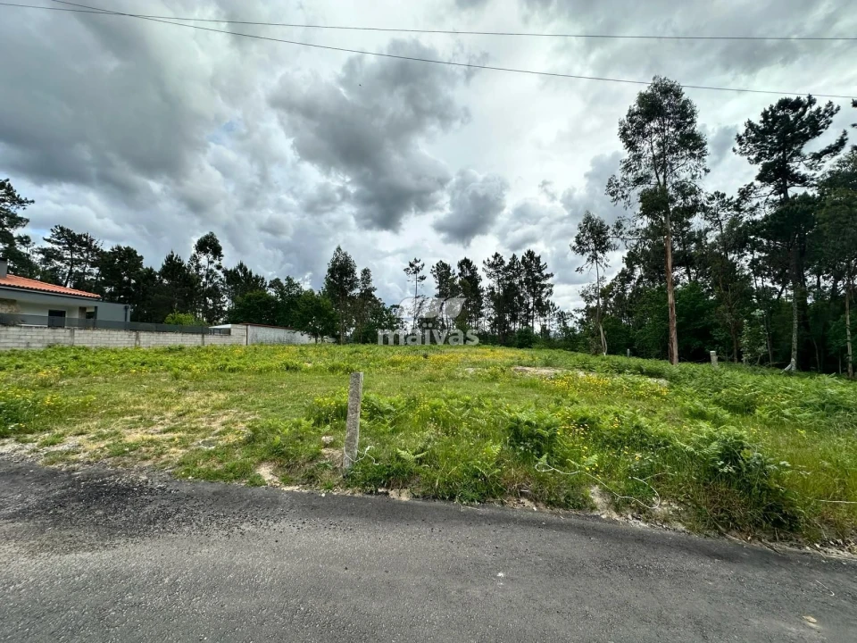 Terreno para Venda em Vila Verde e Barbudo Foto 3