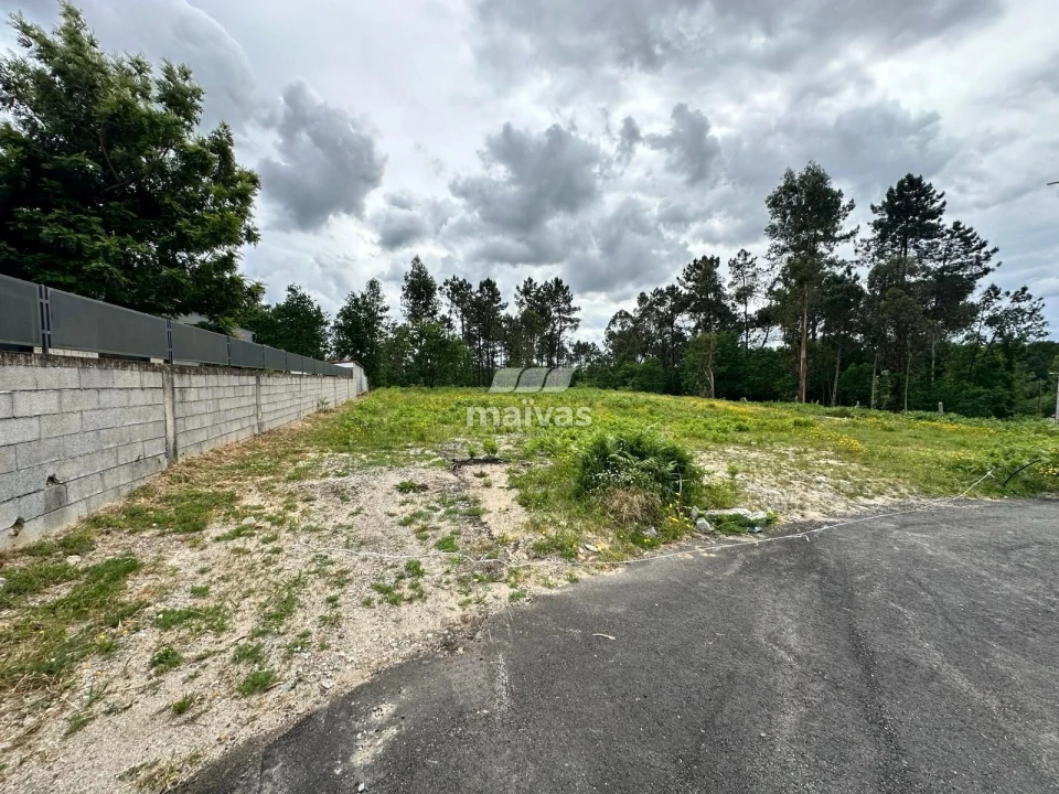 Terreno para Venda em Vila Verde e Barbudo Foto 4