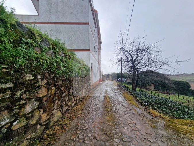 Loja para Venda em Sanfins do Douro Foto 15