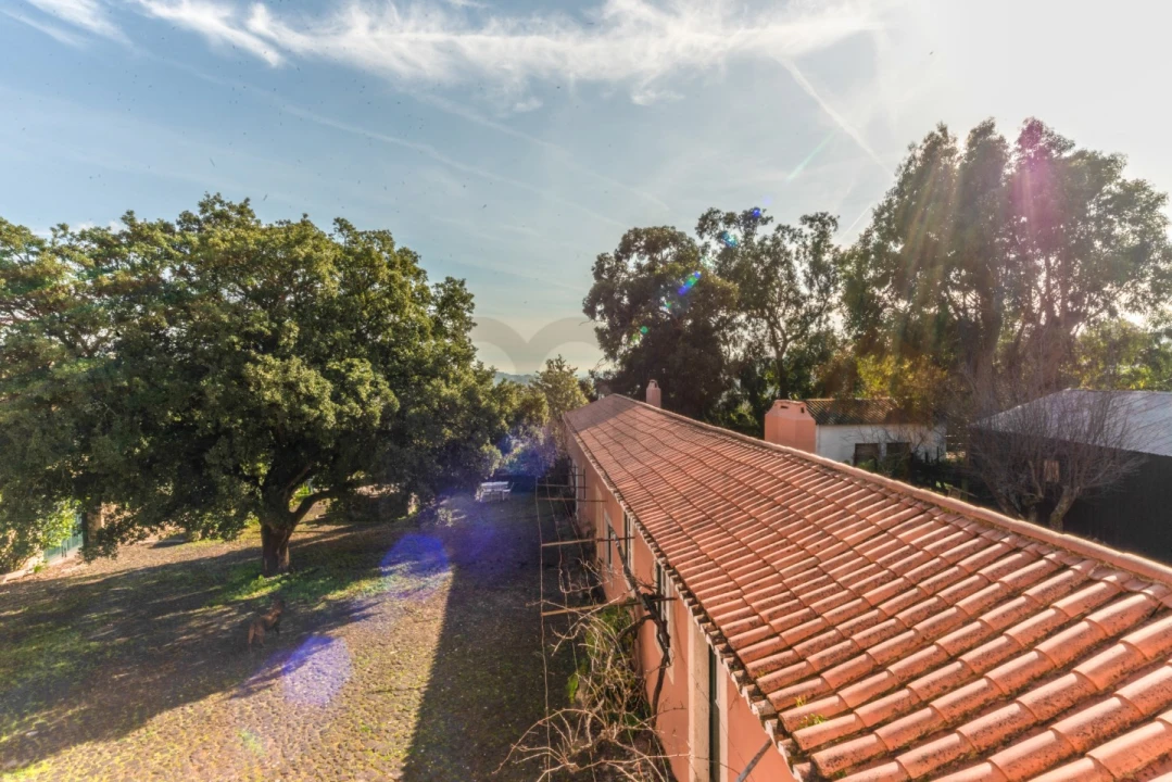 Quinta T10 para Venda em Barcarena Foto 25