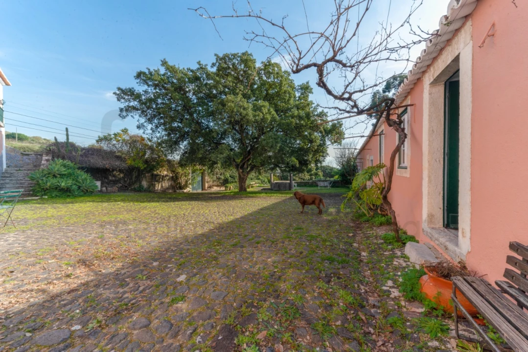 Quinta T10 para Venda em Barcarena Foto 33