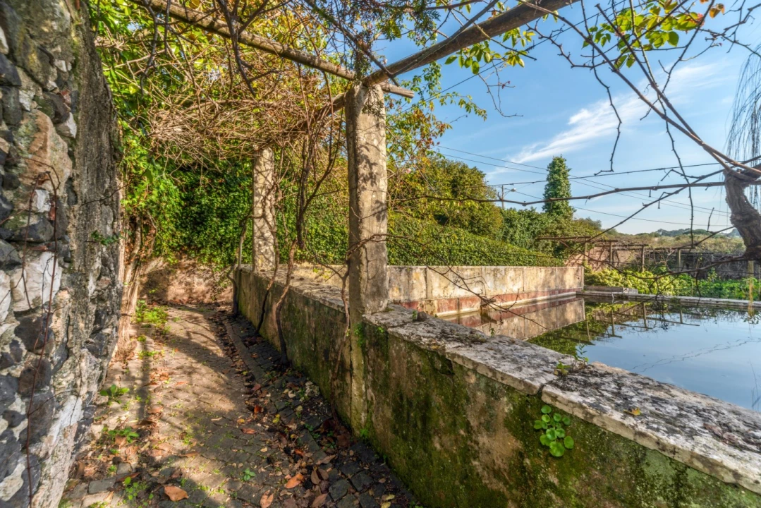 Quinta T10 para Venda em Barcarena Foto 44