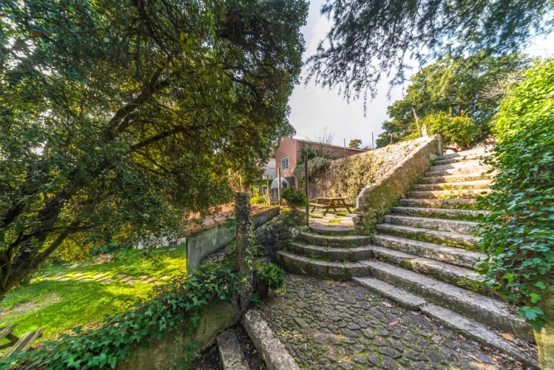 Quinta T10 para Venda em Barcarena Foto 53