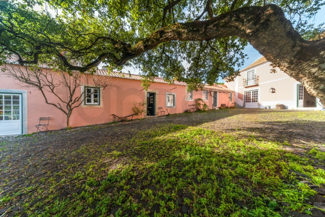 Quinta T10 para Venda em Barcarena Foto 55