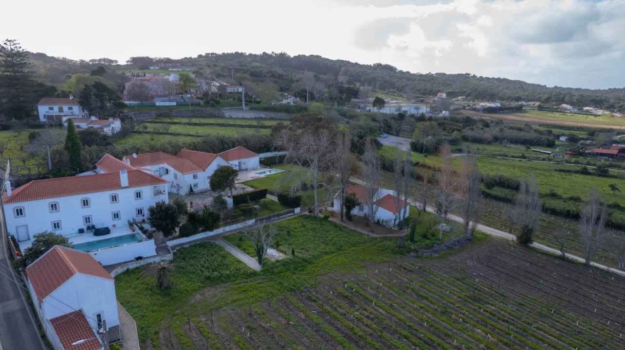 Quinta T14 para Venda em Colares Foto 3