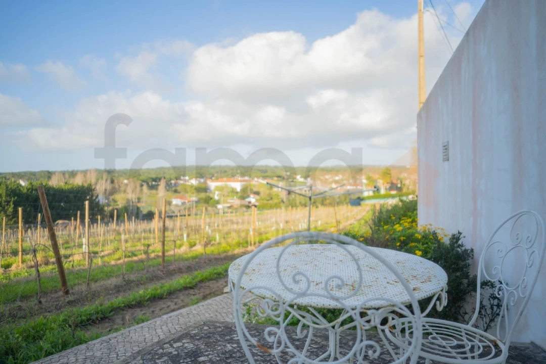 Quinta T14 para Venda em Colares Foto 83