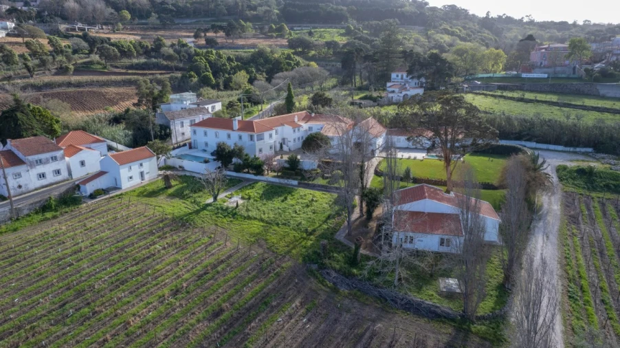 Quinta T14 para Venda em Colares Foto 2