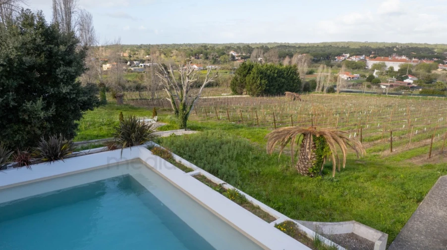 Quinta T14 para Venda em Colares Foto 11