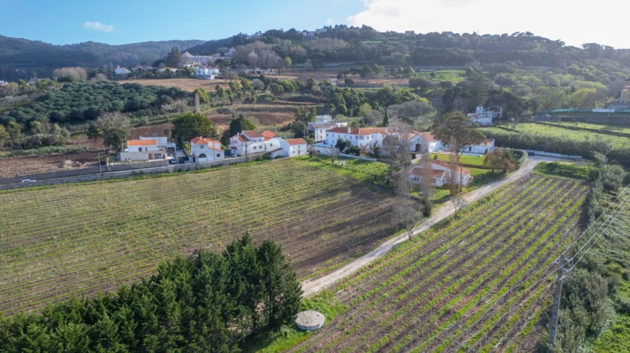 Quinta T14 para Venda em Colares Foto 13