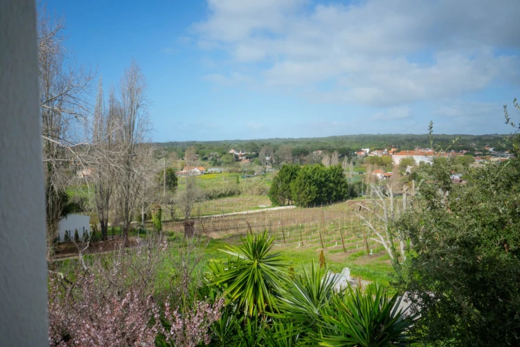 Quinta T14 para Venda em Colares Foto 18