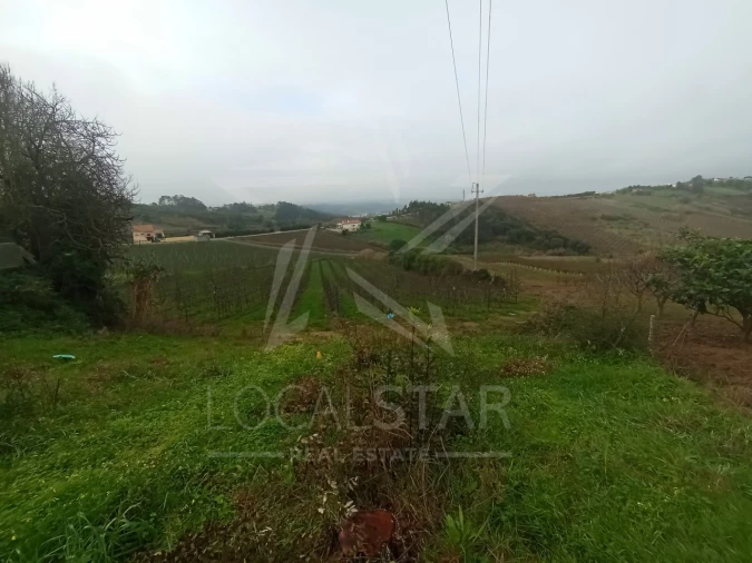 Terreno para Venda em Carvalhal Benfeito Foto 2