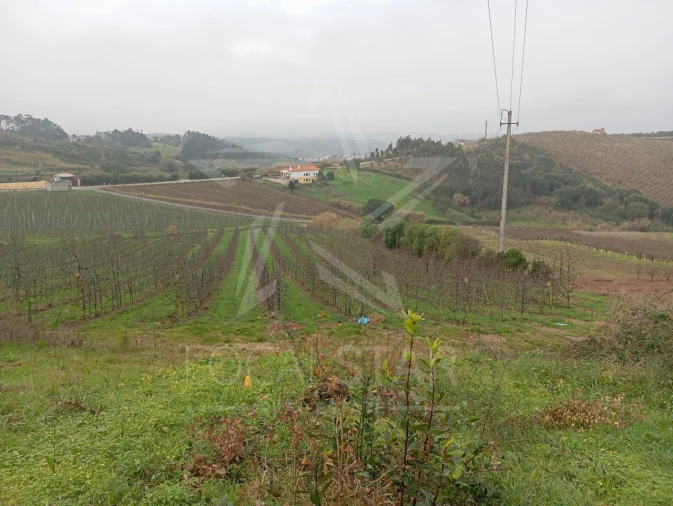 Terreno para Venda em Carvalhal Benfeito Foto 10
