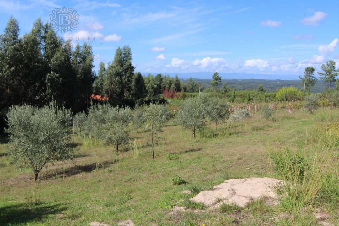 Quinta T4 para Venda em Vila Cova de Alva e Anseriz Foto 62