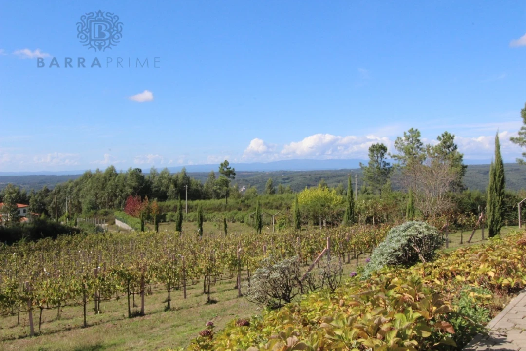 Quinta T4 para Venda em Vila Cova de Alva e Anseriz Foto 64