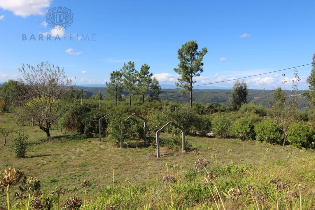 Quinta T4 para Venda em Vila Cova de Alva e Anseriz Foto 66