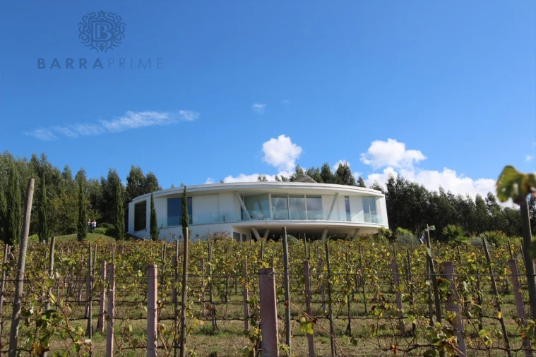 Quinta T4 para Venda em Vila Cova de Alva e Anseriz Foto 4
