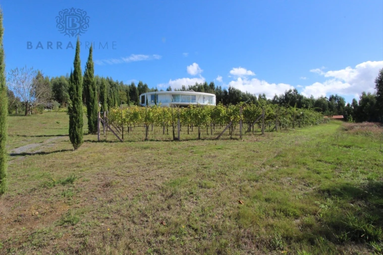 Quinta T4 para Venda em Vila Cova de Alva e Anseriz Foto 5