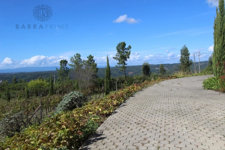 Quinta T4 para Venda em Vila Cova de Alva e Anseriz Foto 61