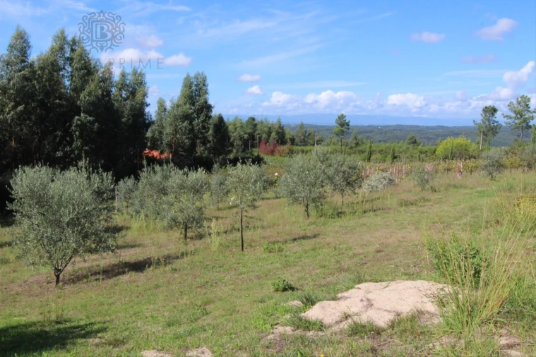 Quinta T4 para Venda em Vila Cova de Alva e Anseriz Foto 62