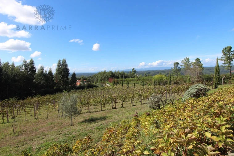 Quinta T4 para Venda em Vila Cova de Alva e Anseriz Foto 65