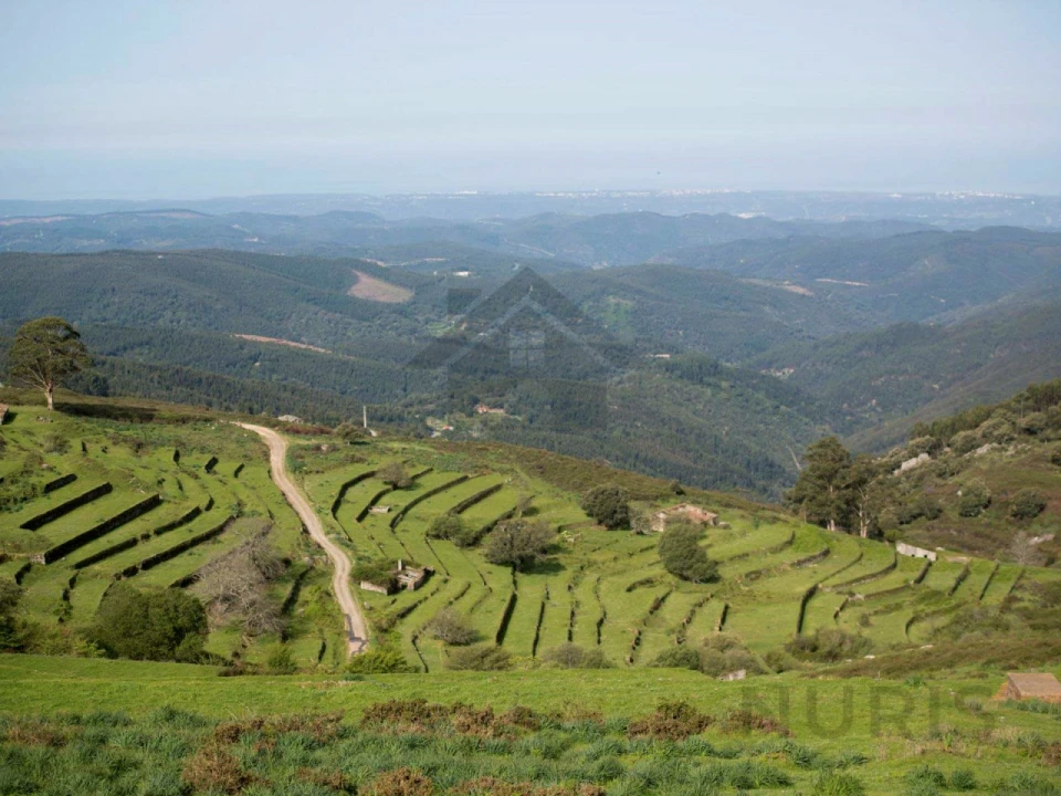 Negócio para Venda em Monchique Foto 64