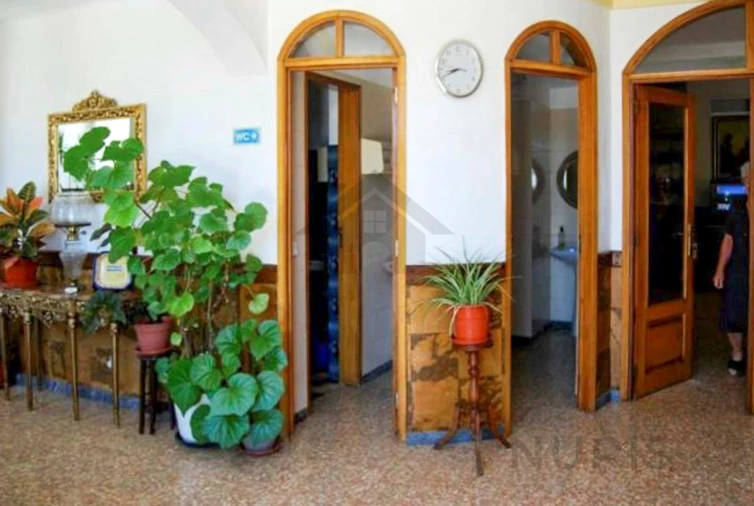 Negócio para Venda em Monchique Foto 12