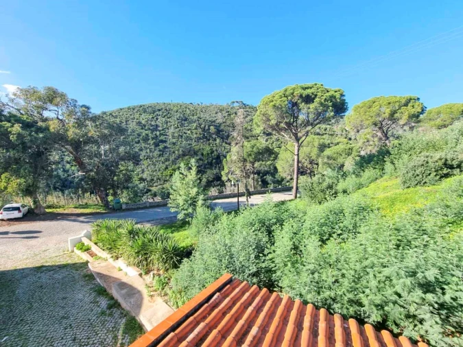 Negócio para Venda em Monchique Foto 57