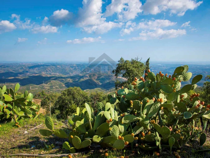Negócio para Venda em Monchique Foto 63