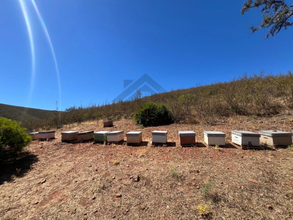 Quinta para Venda em Alvor Foto 24