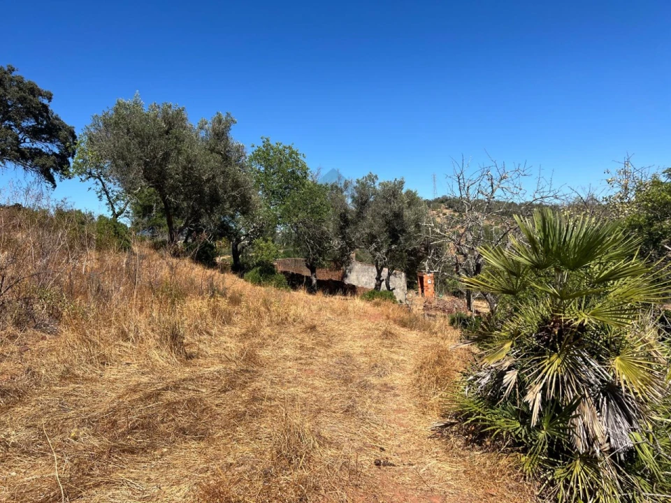 Quinta para Venda em Alvor Foto 29