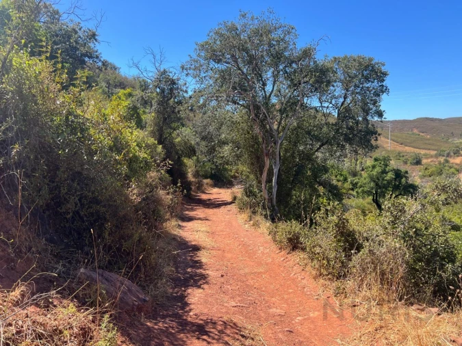 Quinta para Venda em Alvor Foto 34