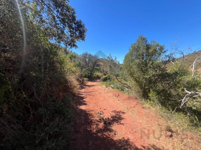 Quinta para Venda em Alvor Foto 35