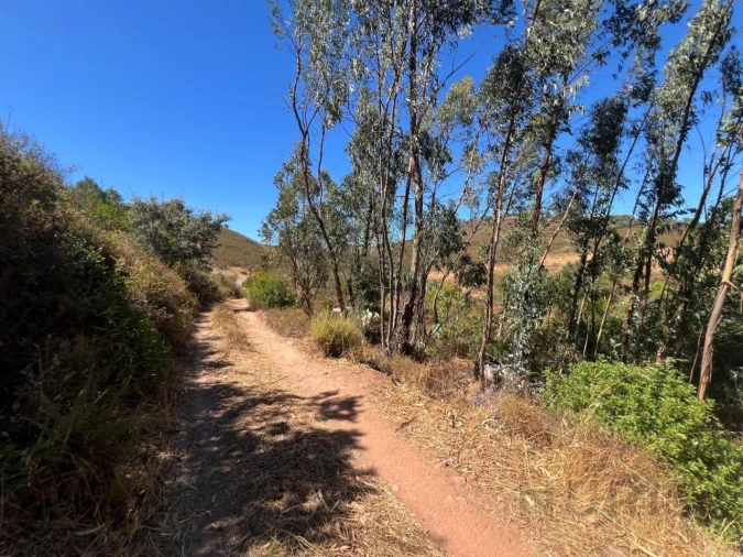 Quinta para Venda em Alvor Foto 36