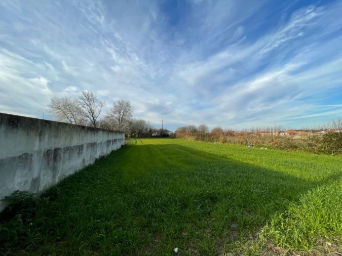 Terreno para Venda em Murtosa Foto 3