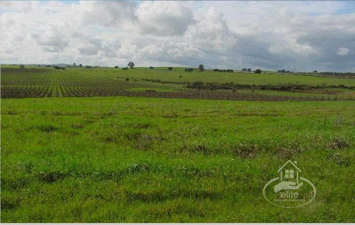 Quinta T8 para Venda em Nossa Senhora da Tourega e Nossa Senhora de Guadalupe Foto 8