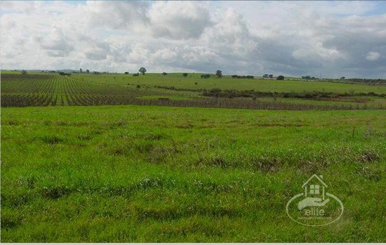 Quinta T8 para Venda em Nossa Senhora da Tourega e Nossa Senhora de Guadalupe Foto 8