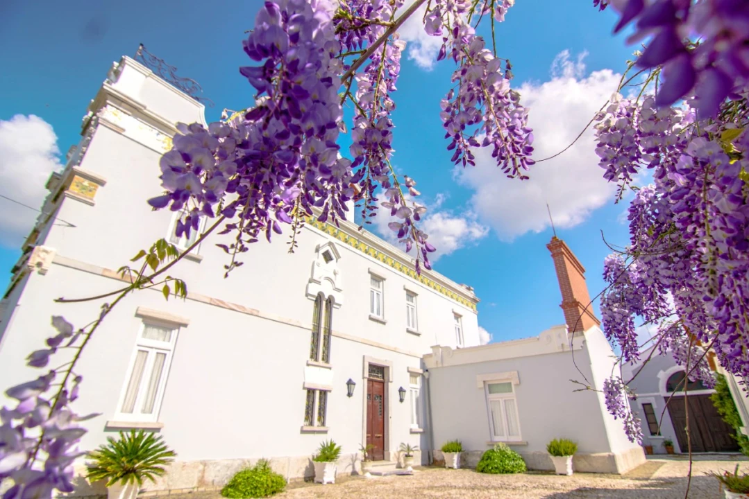 Moradia T6 para Venda em Estremoz (Santa Maria e Santo André) Foto 24