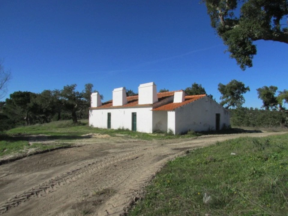 Quinta T5 para Venda em Mora Foto 2