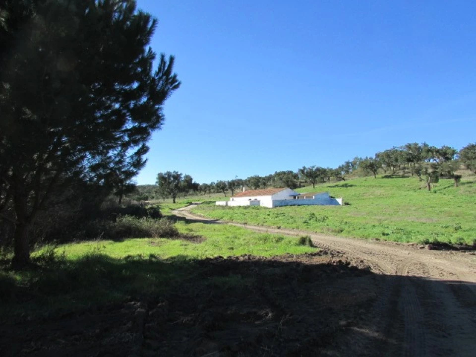 Quinta T5 para Venda em Mora Foto 18