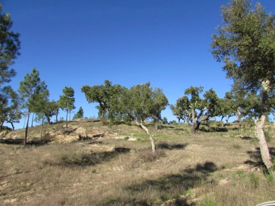 Quinta T5 para Venda em Mora Foto 34