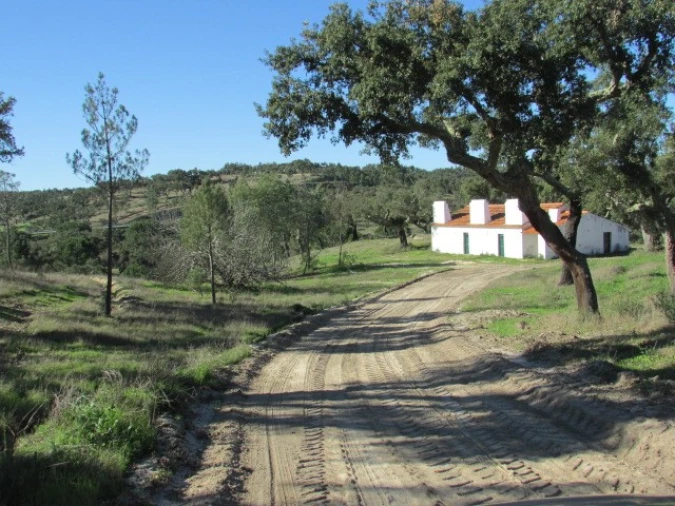 Quinta T5 para Venda em Mora Foto 5