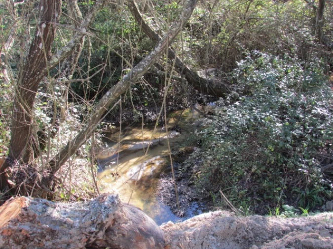 Quinta T5 para Venda em Mora Foto 16