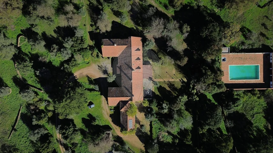 Quinta T8 para Venda em Estremoz (Santa Maria e Santo André) Foto 17