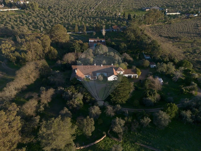 Quinta T8 para Venda em Estremoz (Santa Maria e Santo André) Foto 19