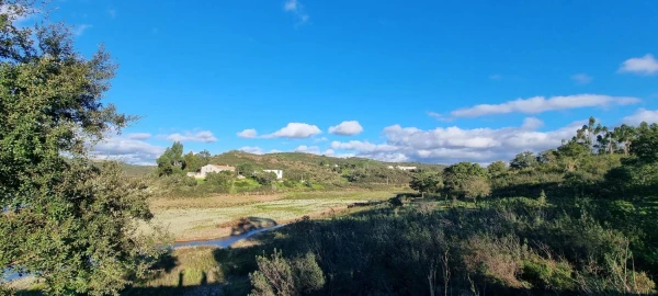 Terreno para Venda em São Bartolomeu de Messines