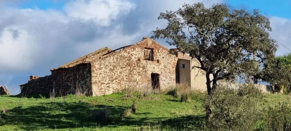 Terreno para Venda em São Bartolomeu de Messines