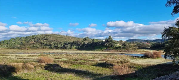 Terreno para Venda em São Bartolomeu de Messines